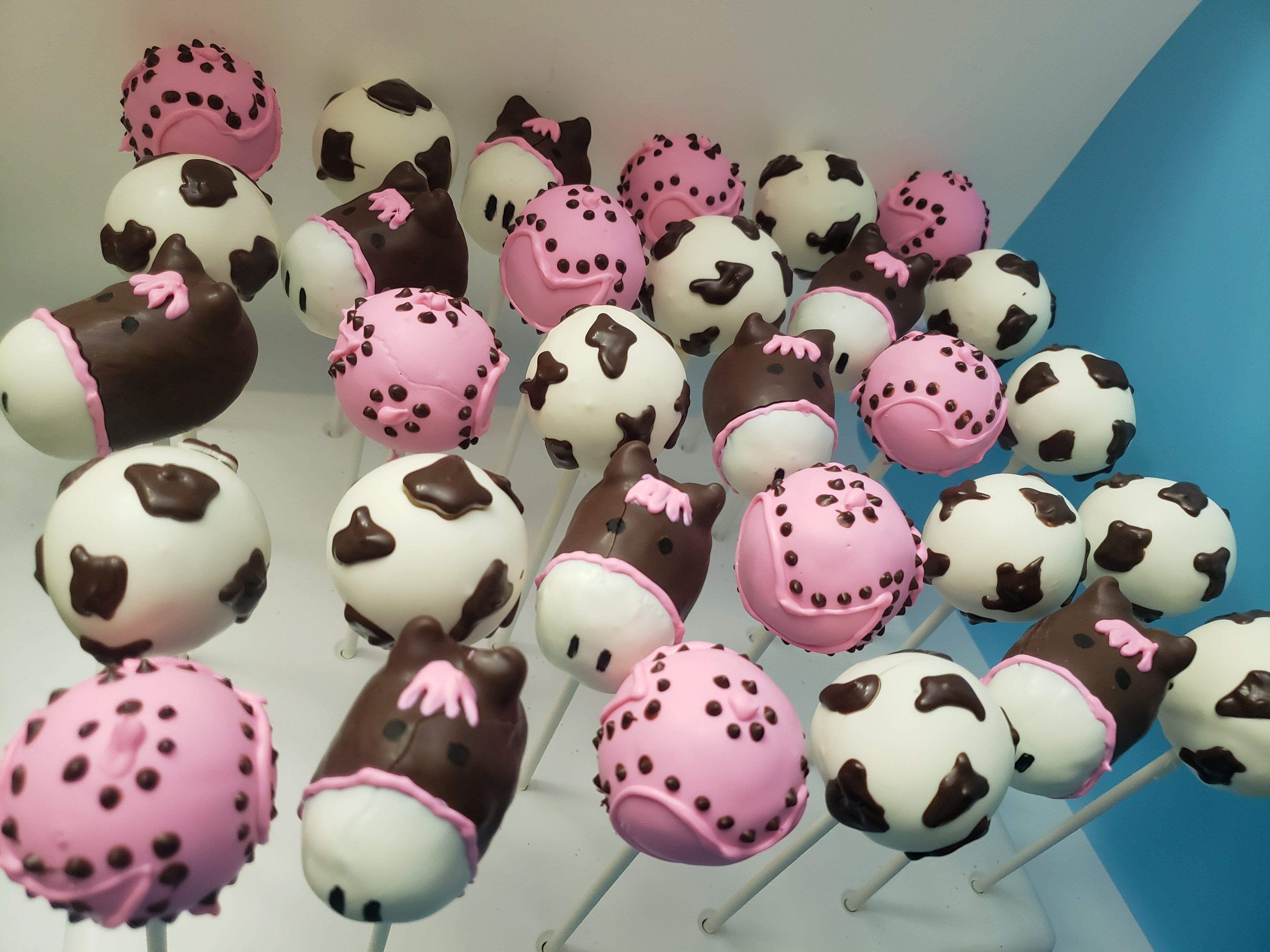 Jamie's Cake Pops (@jamiescakepops) • Instagram photos and videos