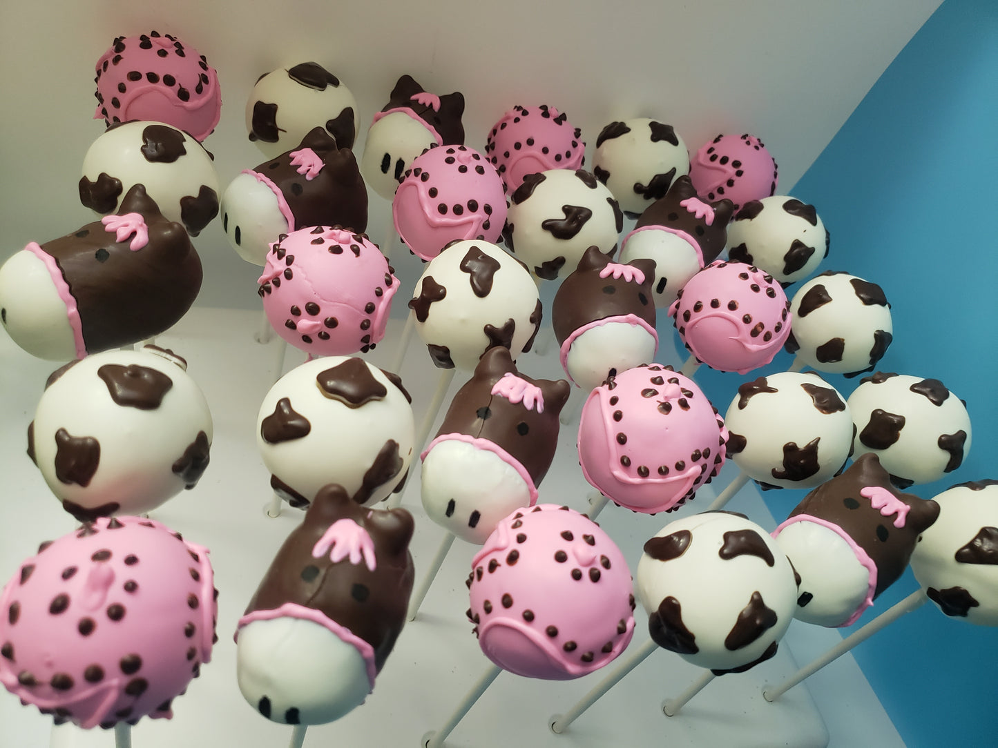 CAKEPOPS